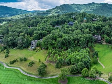 1822 Bella Vista Ct unit 119, Arden, NC 28704 - photo 4