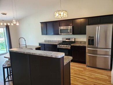 14221 Sherman St, Cedar Lake, IN 46303 - photo 4