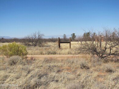 View toward the north