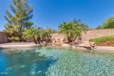 Pool Oasis