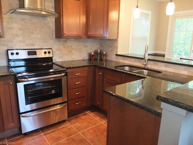 Stainless steel oven, range and dishwasher.