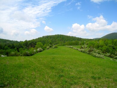 IMG_1849