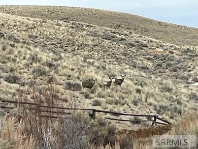 TBD Williams Lake Rd, Salmon, ID 83467 - photo 5