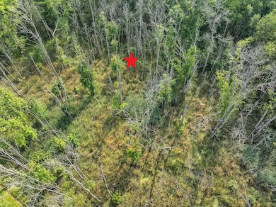 0 W Wilson Rd, Ahnapee, WI 54201 - photo 5