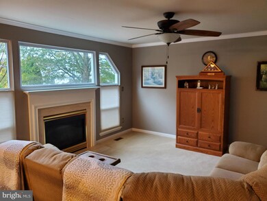 7363 Norris Ave, Sykesville, MD 21784 - photo 7