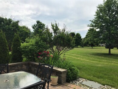 View of Backyard