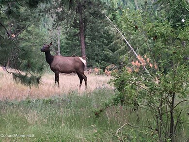 Elk2