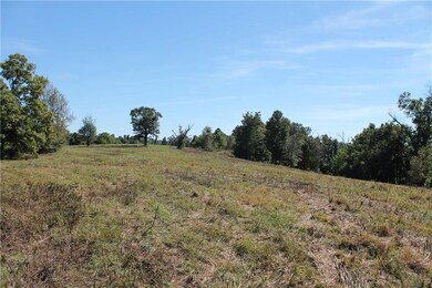 14136 Savoy Rd, Fayetteville, AR 72704 - photo 4