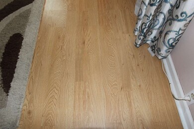 The laminate flooring.