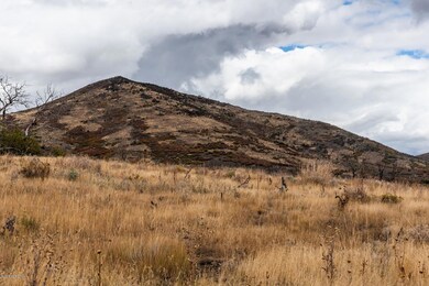 Lot-View_1800x1200_3146456