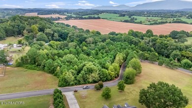 DJI_20240912120449_0138_D_IRON