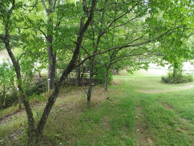 P1040224
