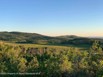 2699 Grackle Rd unit Lot 95, Craig, CO 81625 - photo 7