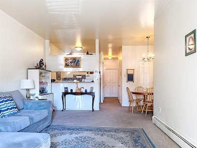 Silk Mill Condos unit 3, Port Jervis, NY 12771 - photo 5