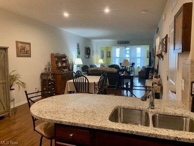 818 Robinson Dr, Lagrange, OH 44050 - photo 4