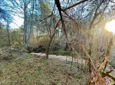 land-for-sale-pike-county-ms4 (3)