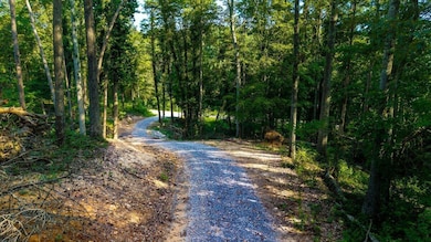 0 Old Lower River Rd NW unit 20253533, Charleston, TN 37310 - photo 7