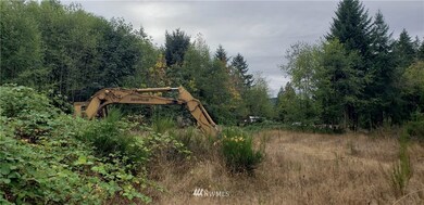 234 XX 197th St E, Orting, WA 98360 - photo 7