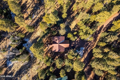 90 N1330, Greer, AZ 85927 - photo 7