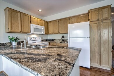 44 Ryan Gulch Rd unit A1, Silverthorne, CO 80498 - photo 5