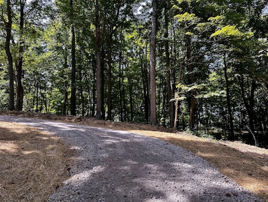 0 Parkinson Rd, Rutland, OH 45775 - photo 7