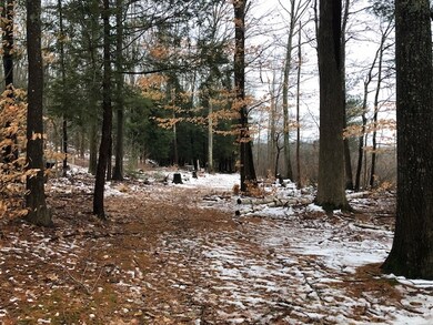 0 Patricia Dr, Portsmouth, NH 03801 - photo 3