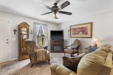 309 Frank St, Nixa, MO 65714 - photo 3