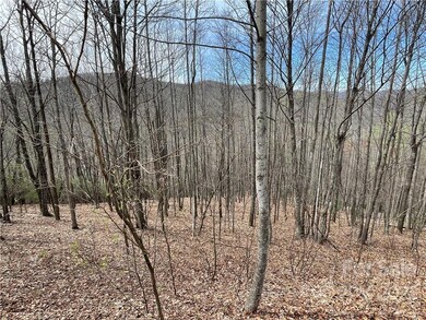 675 Bluemist Way, Arden, NC 28704 - photo 5