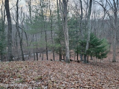 T 508 20 Fawn Rd, East Stroudsburg, PA 18301 - photo 2