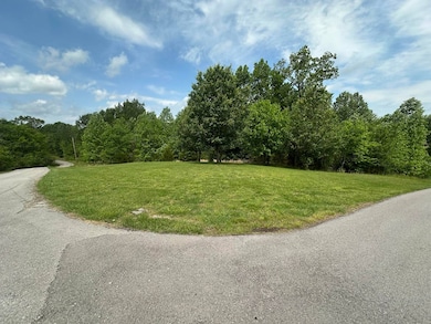 0 Davidson Rd, Burkesville, KY 42717 - photo 2