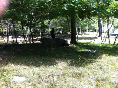 222 Rabbit Ct, Lehman Township, PA 18324 - photo 5