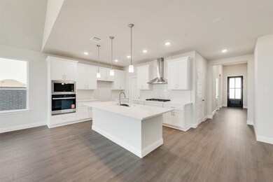 857 Blue Fescue Rd, Justin, TX 76247 - photo 5