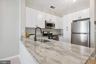 Bryson At Woodland Park unit 306, Herndon, VA 20171 - photo 4