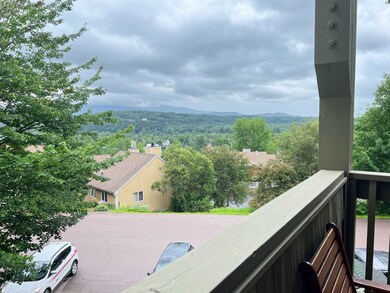171 Cottage Club Rd unit 101, Stowe, VT 05672 - photo 3