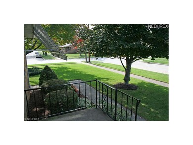 Beautiful yard.