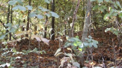 0 Moss Arcot Rd, Celina, TN 38551 - photo 6