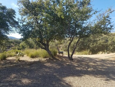 Front yard Cedar Ridge
