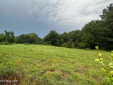 IMG_6144