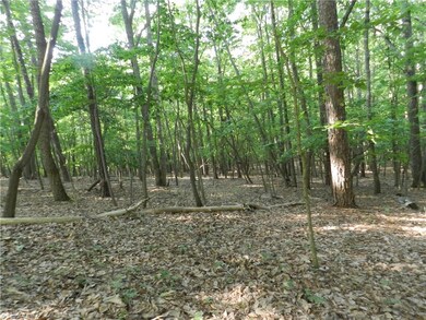 000 Rockridge Rd, Asheboro, NC 27205 - photo 7