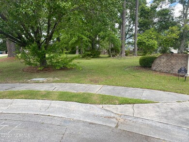 319 Ramona, Jacksonville, NC 28540 - photo 2