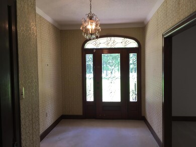 Foyer Looking Out 2