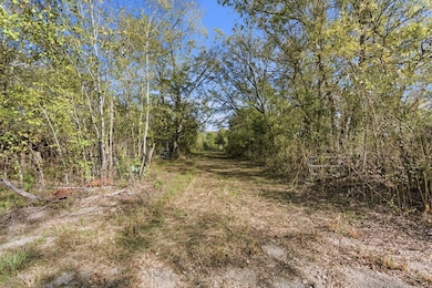 TBD County Road 204, Plantersville, TX 77363 - photo 2