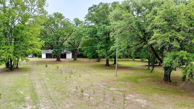 0 Norris Dr, Walterboro, SC 29475 - photo 5