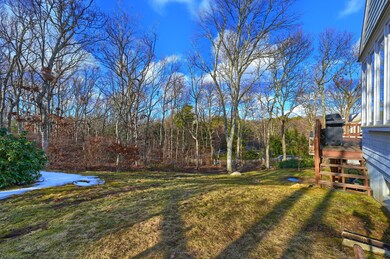 15_Backyard_DSC_6118