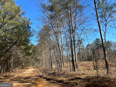 0 McGhee Rd unit 10453026, Sparta, GA 31087 - photo 2