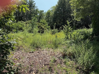 2 Shore Dr, Goffstown, NH 03045 - photo 6