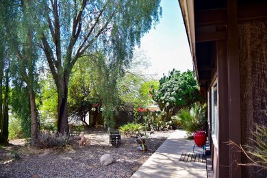 Desert Landscaping