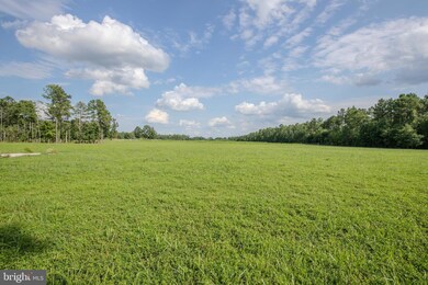 0 Green Level Rd unit VAKW2000190, King William, VA 23009 - photo 6