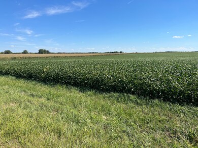 9407 Jordan Rd, Argenta, IL 62501 - photo 4