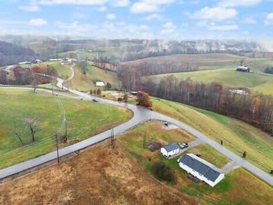 4574 Kentucky 1693, Wellington, KY 40387 - photo 5